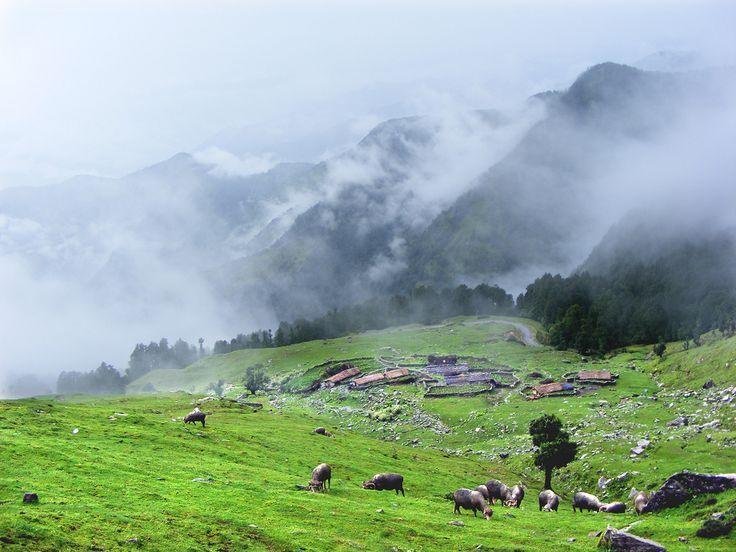 Chopta Valley Uttarakhand