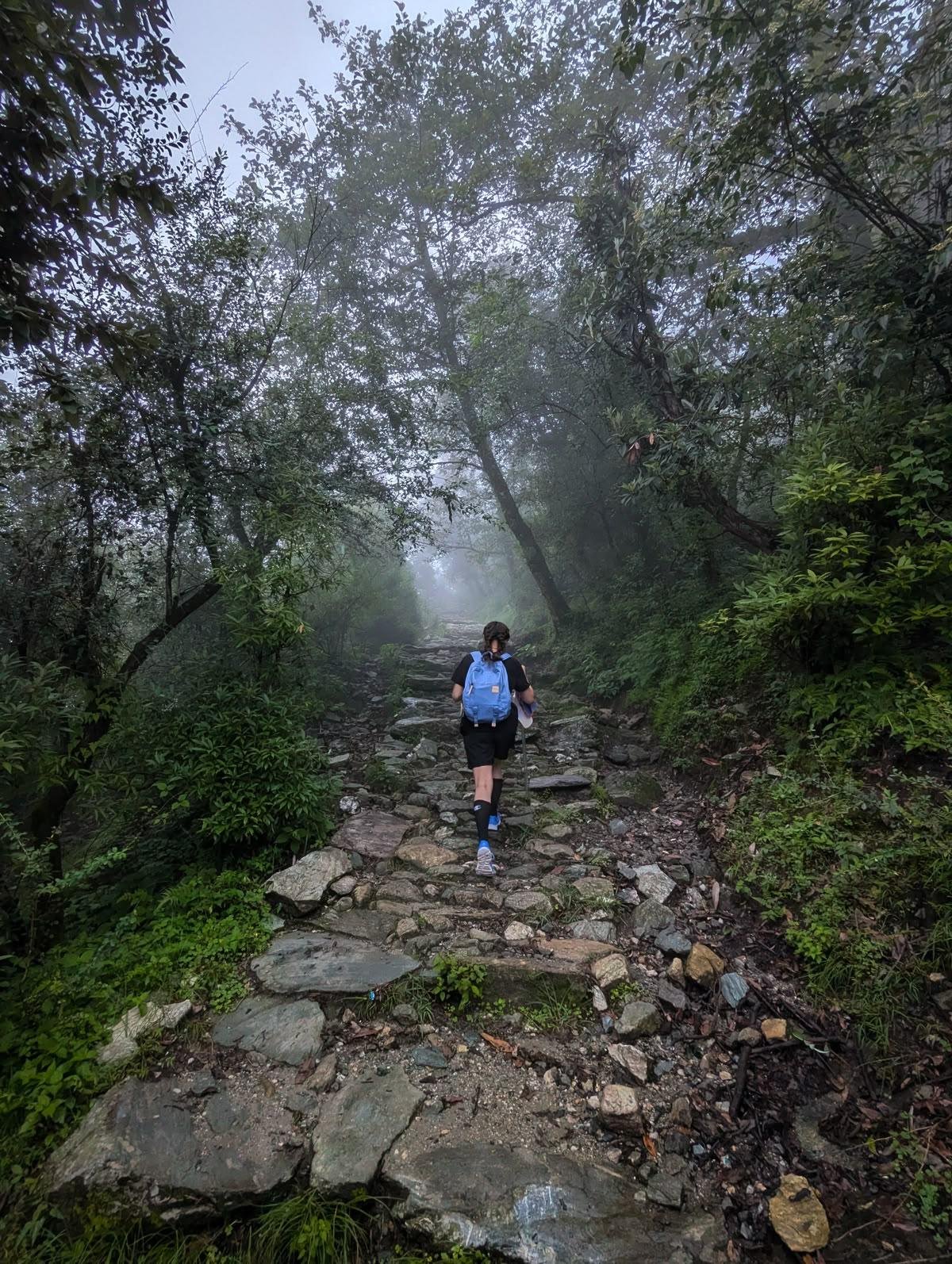 Scenic Path