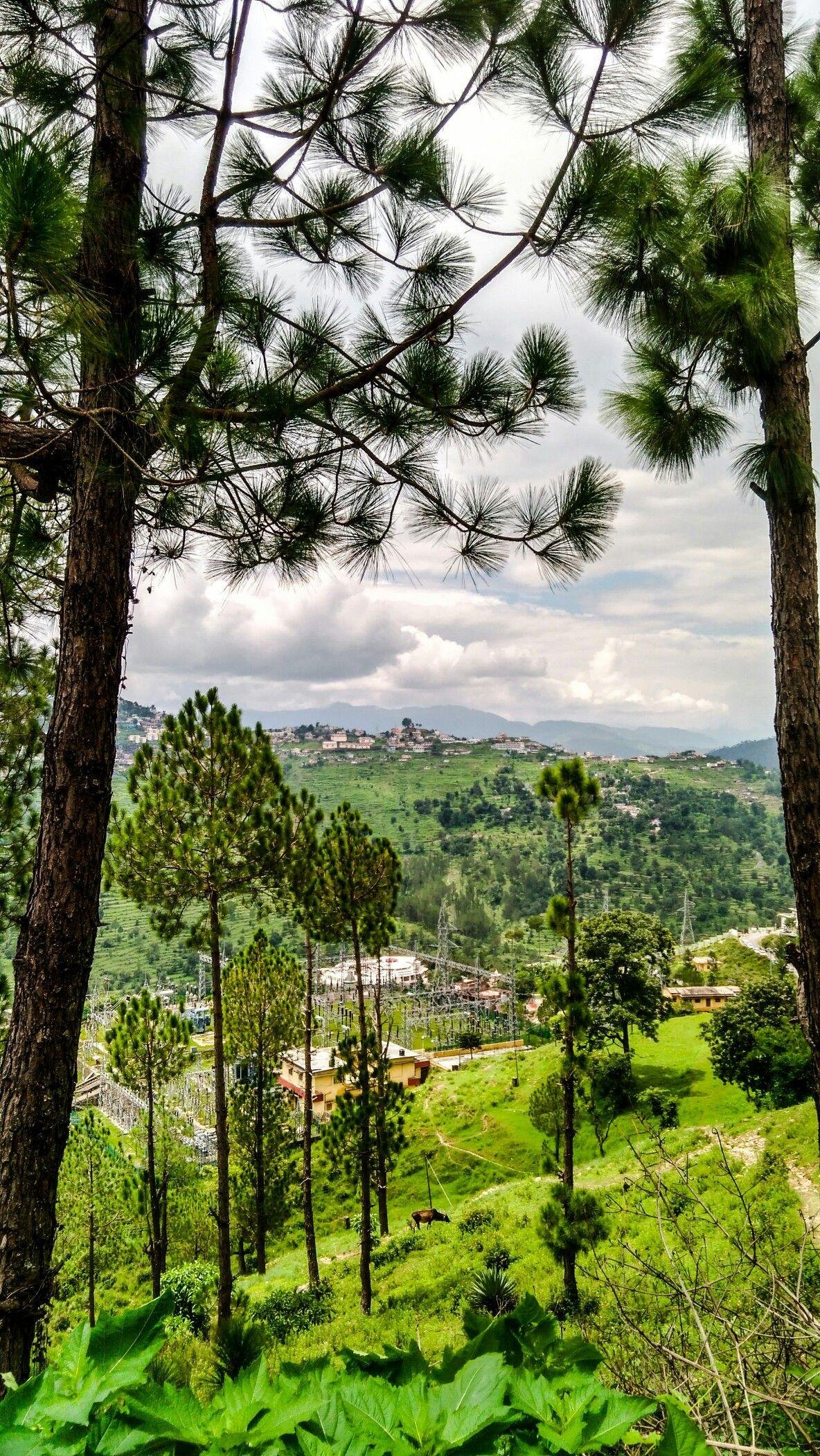 Himalayan View