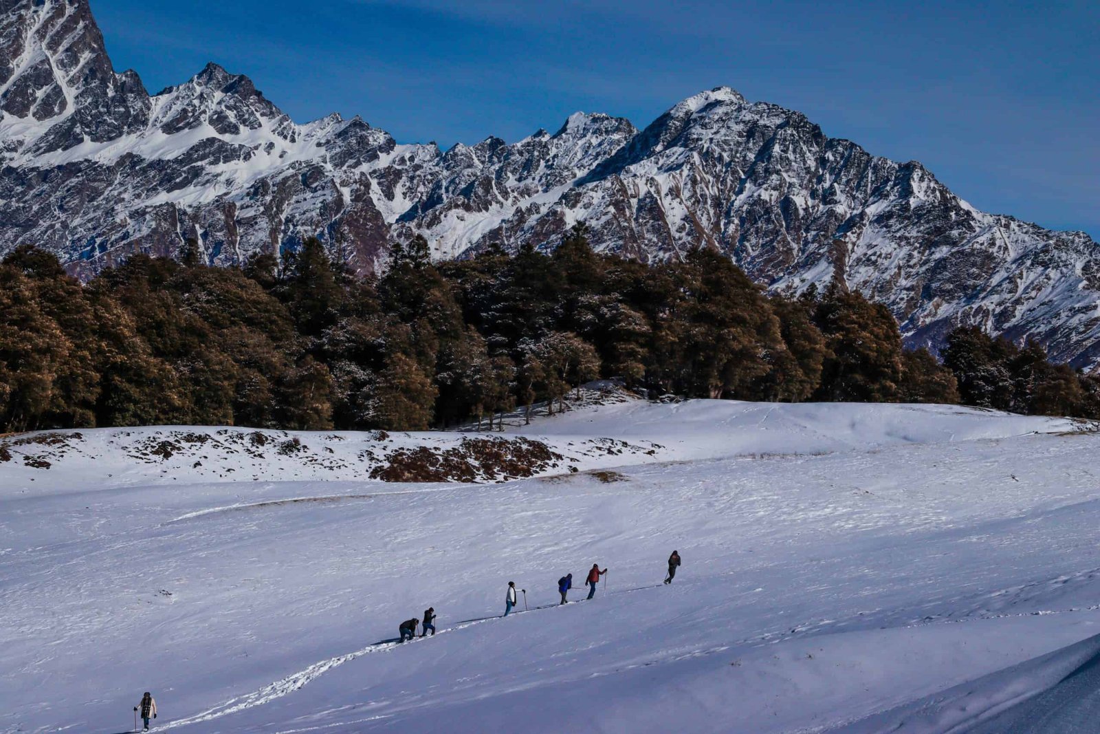 Auli & Joshimath – Uttarakhand’s Ultimate Adventure and Snow Guide 5 Joshimath View