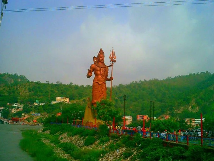 Gallery Image 7