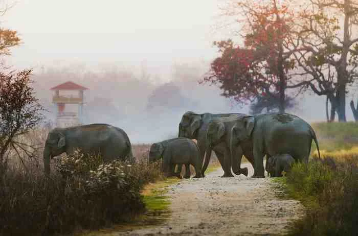 View All Devbhoomi Tour Images