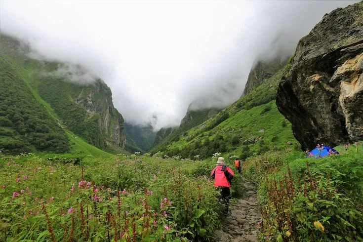 Valley of Flowers Hemkund Sahib Trekking