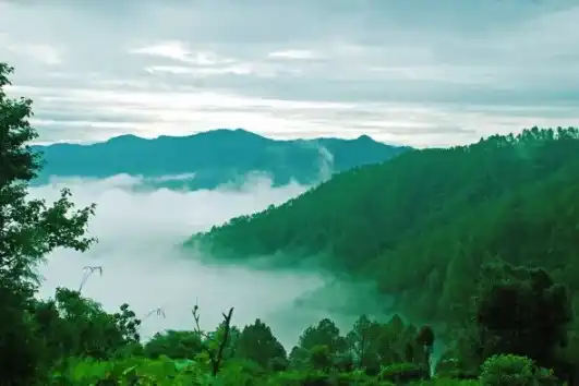Delhi to Nainital Arrival and Evening Lake Walk
