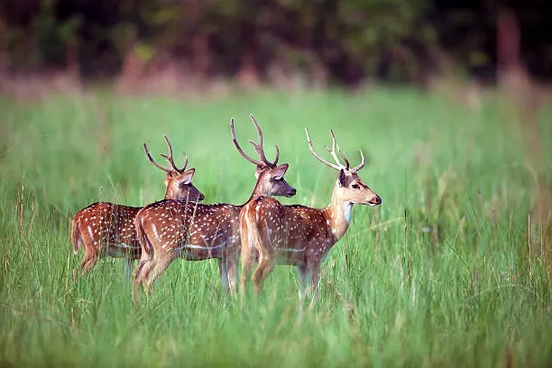Uttarakhand tour photo