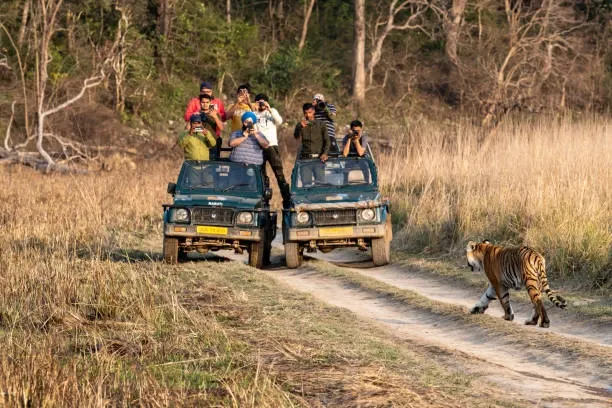 Premium 8 Days Uttarakhand Honeymoon Tour Delhi to Corbett Nainital Auli and Rishikesh