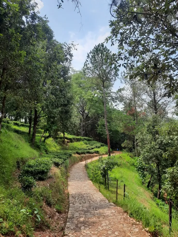 Uttarakhand tour photo