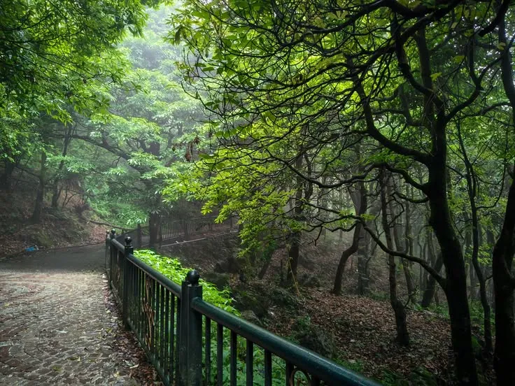 Dehradun Mussoorie Scenic Valley and Hill Tour Package