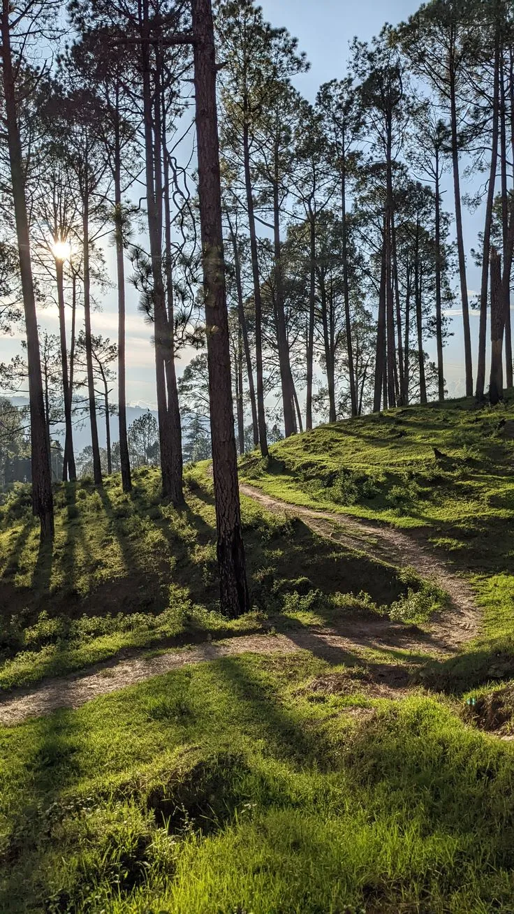 6 Days Delhi to Nainital Kainchi Dham Almora Ranikhet and Kausani Tour