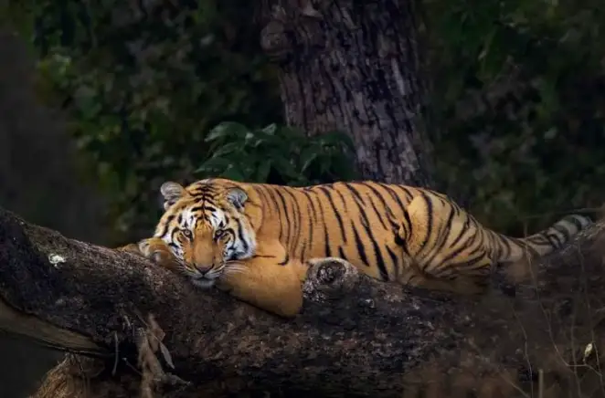 Uttarakhand tour photo