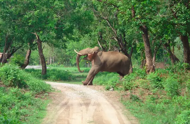 Uttarakhand tour photo